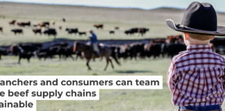 Beef production provides a valuable contribution to human health while also impacting the natural environment. Brandee Gillham courtesy of the Colorado Department of Agriculture., CC BY